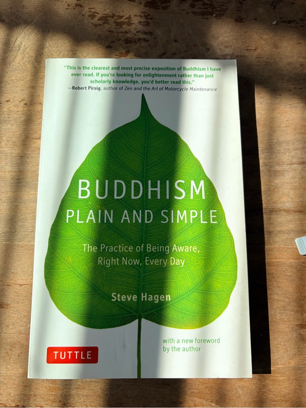 Steve Hagen Buddhism Plain and Simple Zen Buddhist Mindfulness Spirituality Book